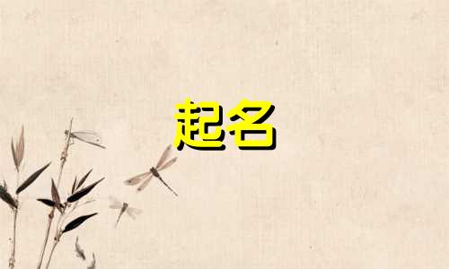 红四军起名原因有哪些