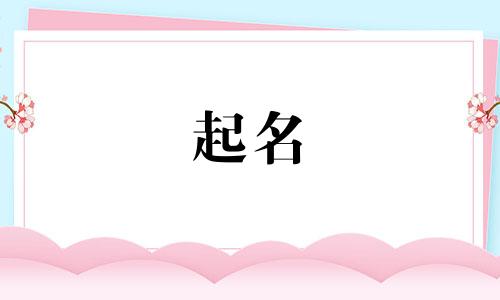 琥珀相关的公司起名有哪些