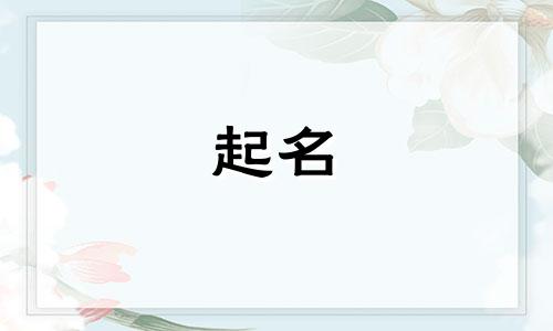 品牌起名谐音名字有哪些