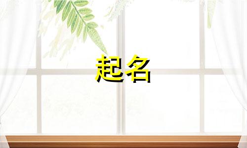 北京专业的公司起名有哪些