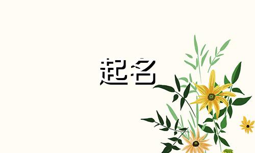 饮料起名搞笑用哪些字代替