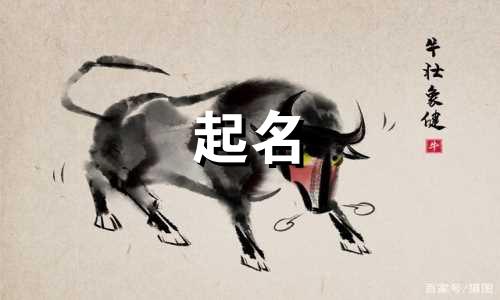 鼠年起名字哪些字最好