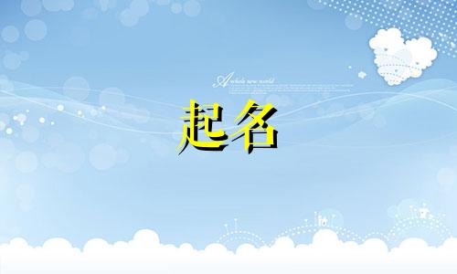 免费起名小程序有哪些应用