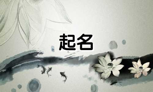 起名字都有哪些字体好听
