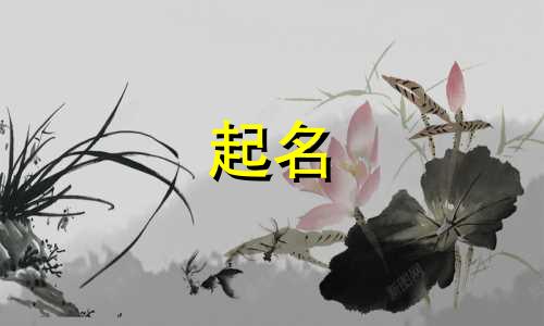 有哪些游戏可以起名字