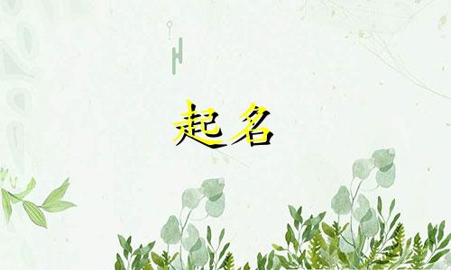 有哪些起名老师的网名大全