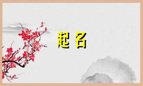 公司起名大全的名字有哪些