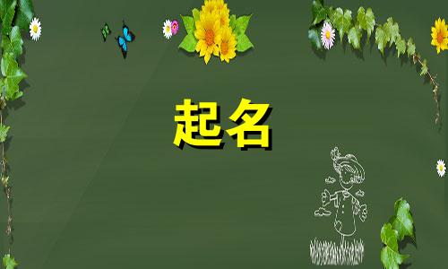 戚姓女孩起名有哪些字体