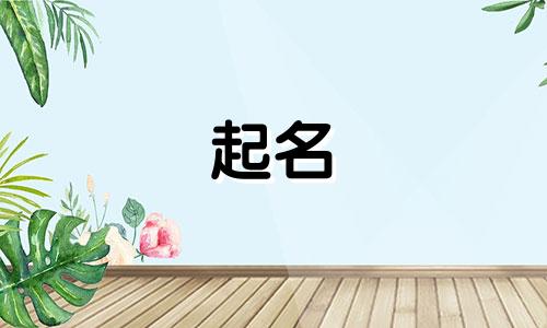 起名公益广告有哪些类型