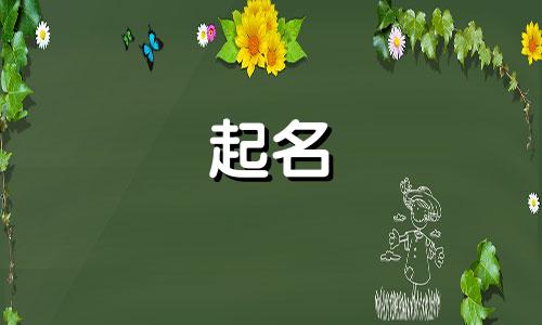 起名时特殊符号有哪些