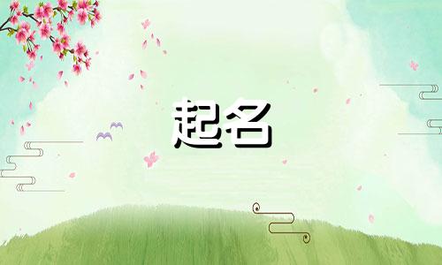 宝宝起名字诀窍有哪些
