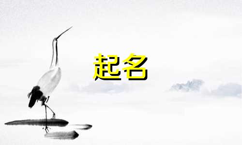 广州起名大师有哪些人