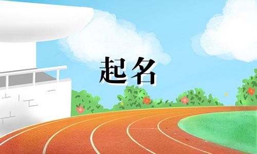 请人起名的歌有哪些歌