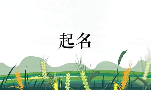 起名参考唐诗宋词有哪些