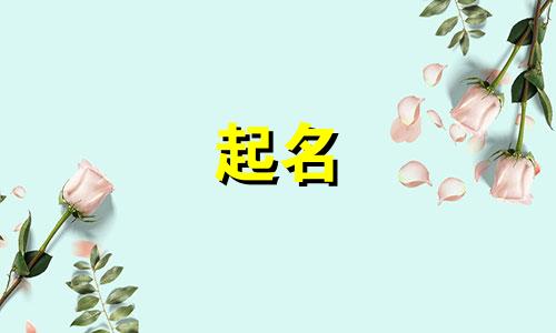 好格局起名的主页有哪些