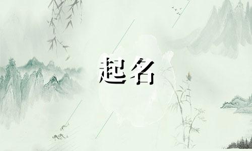 公司起名行业类型有哪些呢