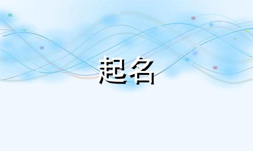 开店起名的教程有哪些内容