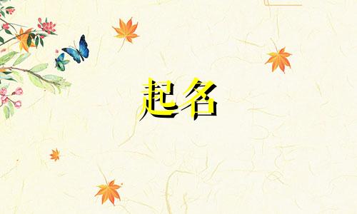 绘画用品起名字有哪些