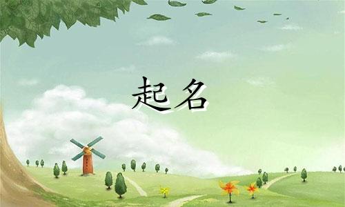 智能调度系统起名规则有哪些