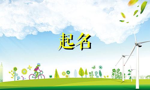 女孩起名木字旁都有哪些字
