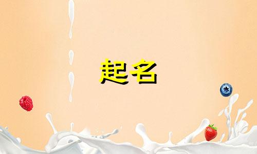 免费的起名神器软件有哪些