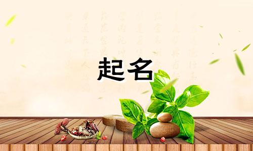 有哪些起名美好的单字好听