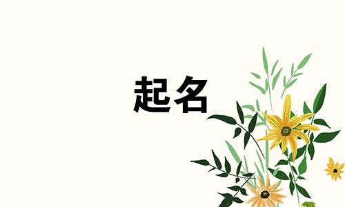 域名起名遵循的原则有哪些
