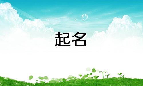 注册公司起名称有哪些