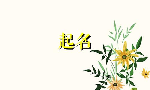 衣服品牌起名字有哪些