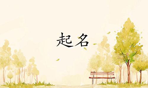 男孩起名哪些字霸气的好听