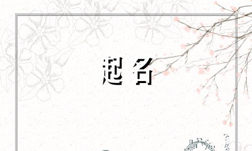 双语课程起名网站有哪些