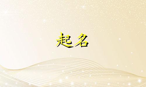 公司起名的介绍词有哪些