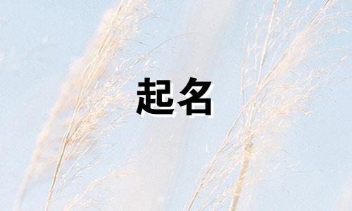 起名女孩爱笑的字有哪些
