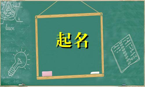 项目名称起名要点有哪些