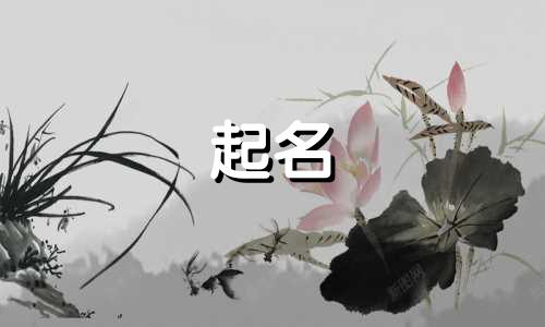 公司起名有哪些禁忌和要求
