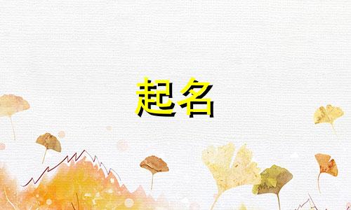 浙江自媒体公司起名有哪些