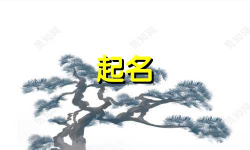 关于面点的课程起名有哪些