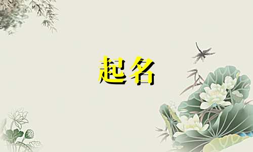 起名得查询哪些书籍的书名