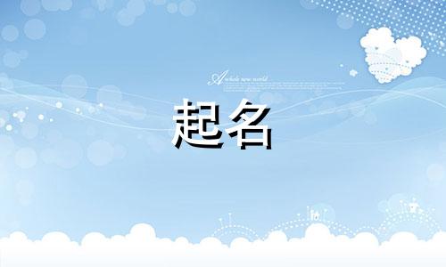 互联网起名工具有哪些