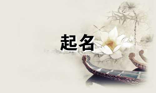 兔宝宝起名带哪些字好听