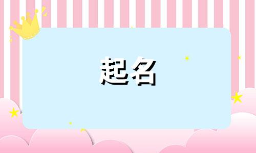 关于起名的歌有哪些歌曲