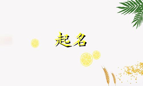公司起名不重名规则有哪些