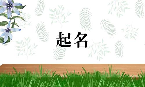 新号起名技巧有哪些呢女生