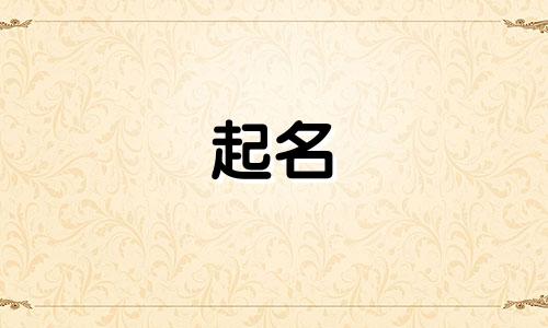 懒得起名背景音乐有哪些