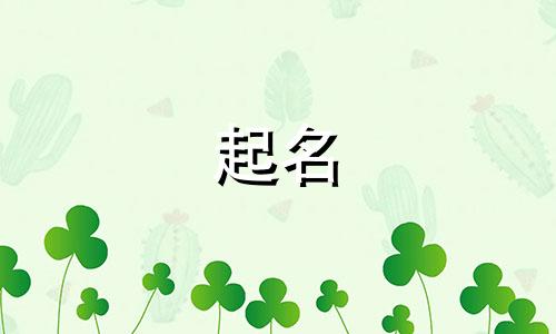 用哪些字去公司起名最好