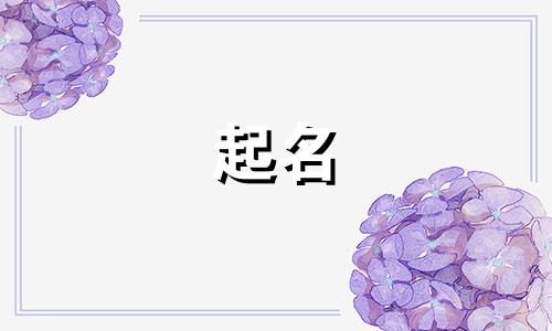 起名最困难症患者有哪些
