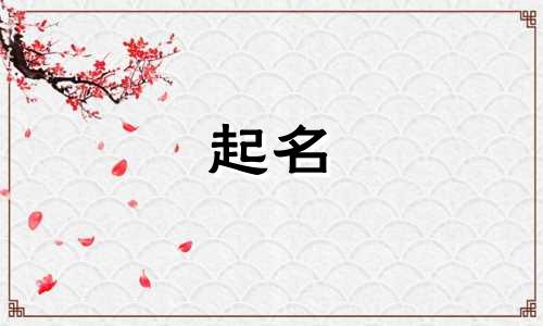 创新型公司起名方法有哪些