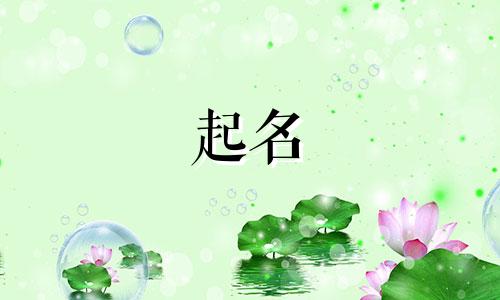 酒类产品起名技巧有哪些
