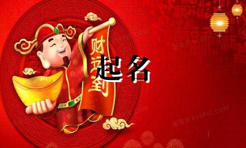 创意起名小程序有哪些类型
