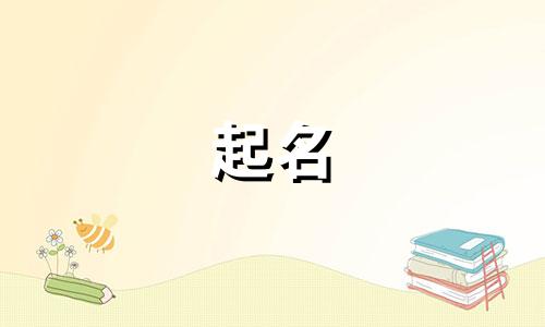 新手起名字作家有哪些